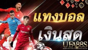 บาคาร่า ยอดนิยม