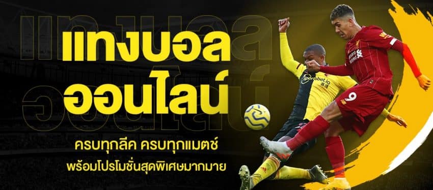 แทงบอล ได้เงินจริง